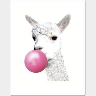 All you need is love and llamas Posters and Art